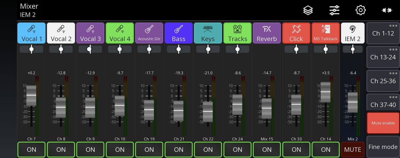 Example: IEM 2 layer with your channel near unity and the rest a bit below. Real Mixing Station screen; your channels and levels will differ.